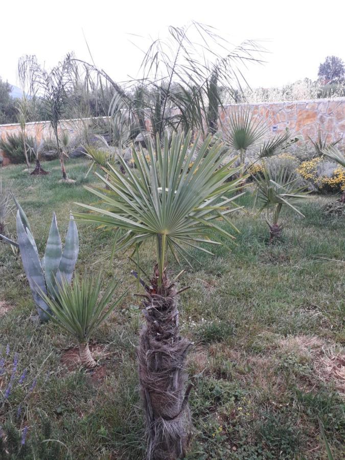 Palm Paradise Stobrec Luaran gambar
